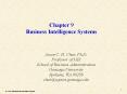 Chapter 9 Business Intelligence Systems PowerPoint PPT Presentation