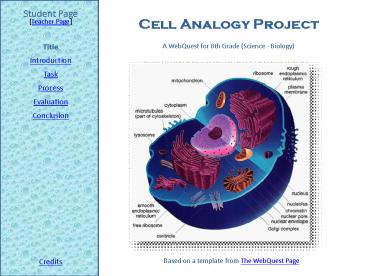 Cell Analogy Project
