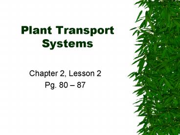 presentation player overlay