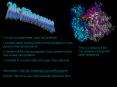 70s Ribosomes PowerPoint PPT Presentation