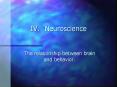 Neuroscience PowerPoint PPT Presentation