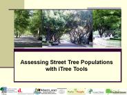 Assessing Street Tree Populations with iTree Tools