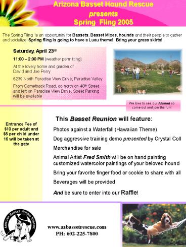 Photos against a Waterfall Hawaiian Theme