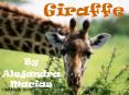 Giraffe PowerPoint PPT Presentation