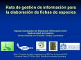 Ruta de gesti PowerPoint PPT Presentation