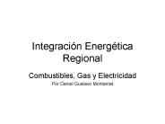 Integracin Energtica Regional