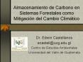 Almacenamiento de Carbono en Sistemas Forestales como Mitigaci PowerPoint PPT Presentation