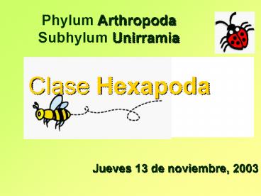 Jueves 13 de noviembre, 2003