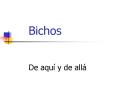 Bichos PowerPoint PPT Presentation