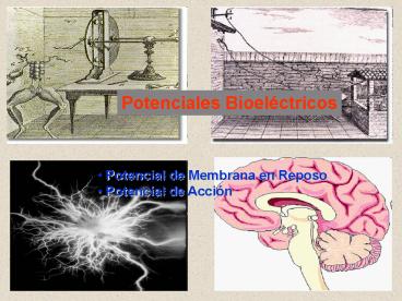 Potenciales Bioelctricos