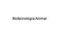 Biotecnologa Animal PowerPoint PPT Presentation