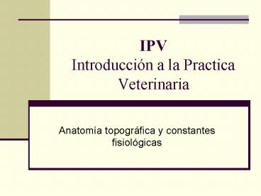 IPV Introduccin a la Practica Veterinaria