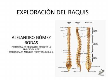 EXPLORACIN DEL RAQUIS