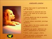 SABIDUR