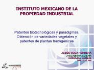 Diapositiva 1