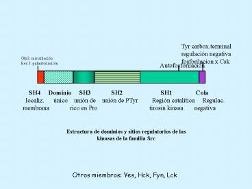 Presentacin de PowerPoint