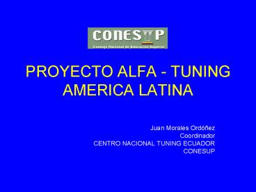 PROYECTO ALFA TUNING AMERICA LATINA