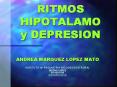 RITMOS HIPOTALAMO y DEPRESION PowerPoint PPT Presentation
