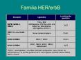 Familia HERerbB PowerPoint PPT Presentation