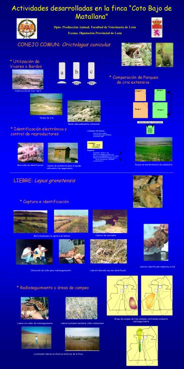 Sin ttulo de diapositiva