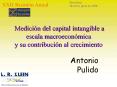 Medicin del capital intangible a escala macroeconmica y su contribucin al crecimiento PowerPoint PPT Presentation