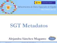 SGT Metadatos