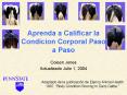 Aprenda a Calificar la Condicion Corporal Paso a Paso PowerPoint PPT Presentation