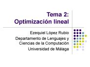 Tema 2: Optimizaci