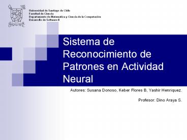 Sistema de Reconocimiento de Patrones en Actividad Neural
