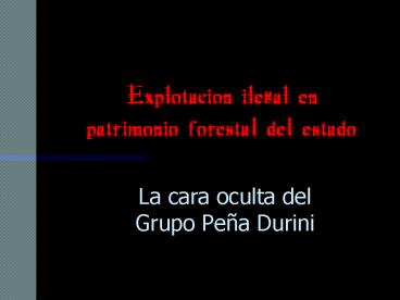 Explotacion ilegal en patrimonio forestal del estado