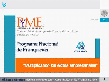 Programa Nacional de Franquicias