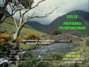 Rildo Silveira