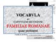 VOCABVLA ad CAPITVLVM SECVNDVM FAMILIAE ROMANAE quae pertinent PowerPoint PPT Presentation
