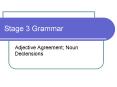 Stage 3 Grammar PowerPoint PPT Presentation