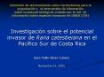 Investigacin sobre el potencial invasor de Rana catesbeiana en el Pacfico Sur de Costa Rica PowerPoint PPT Presentation