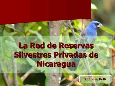 La Red de Reservas Silvestres Privadas de Nicaragua
