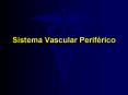 Sistema Vascular Perifrico PowerPoint PPT Presentation