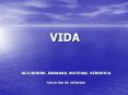 VIDA PowerPoint PPT Presentation