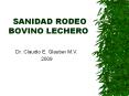 SANIDAD%20RODEO%20BOVINO%20LECHERO PowerPoint PPT Presentation
