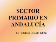 SECTOR PRIMARIO EN ANDALUC