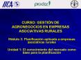 CURSO: GESTIN DE AGRONEGOCIOS EN EMPRESAS ASOCIATIVAS RURALES PowerPoint PPT Presentation