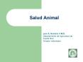 Luis A' Navarro V'M'D' Departamento de Agricultura de Puerto Rico Divisin Veterinaria PowerPoint PPT Presentation