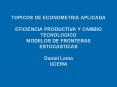 TOPICOS DE ECONOMETRIA APLICADA EFICIENCIA PRODUCTIVA Y CAMBIO TECNOLOGICO MODELOS DE FRONTERAS ESTOCASTICAS Daniel Lema UCEMA PowerPoint PPT Presentation