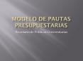 Modelo de Pautas Presupuestarias PowerPoint PPT Presentation