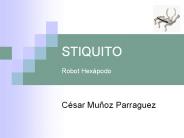 STIQUITO Robot Hex