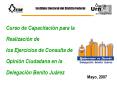Curso de Capacitacin para la Realizacin de los Ejercicios de Consulta de Opinin Ciudadana en la Dele PowerPoint PPT Presentation