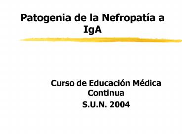 Patogenia de la Nefropata a IgA