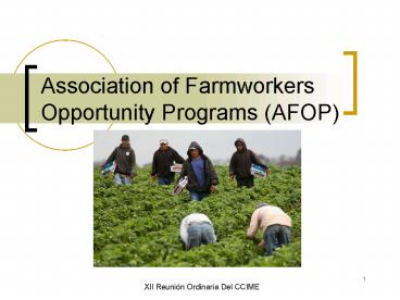 Association of Farmworkers Opportunity Programs AFOP
