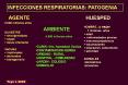 IRA en general PowerPoint PPT Presentation