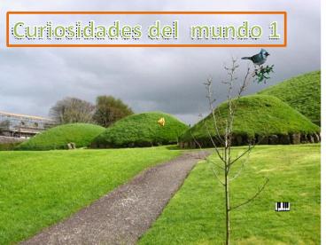 Curiosites 1